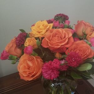 Meet your Posher, Rosa